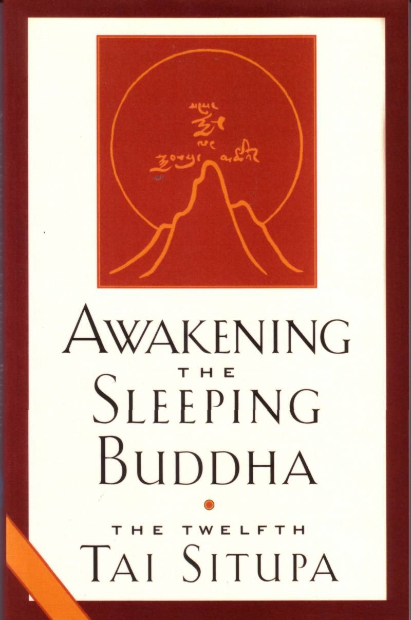 Awakening The Sleeping Buddha