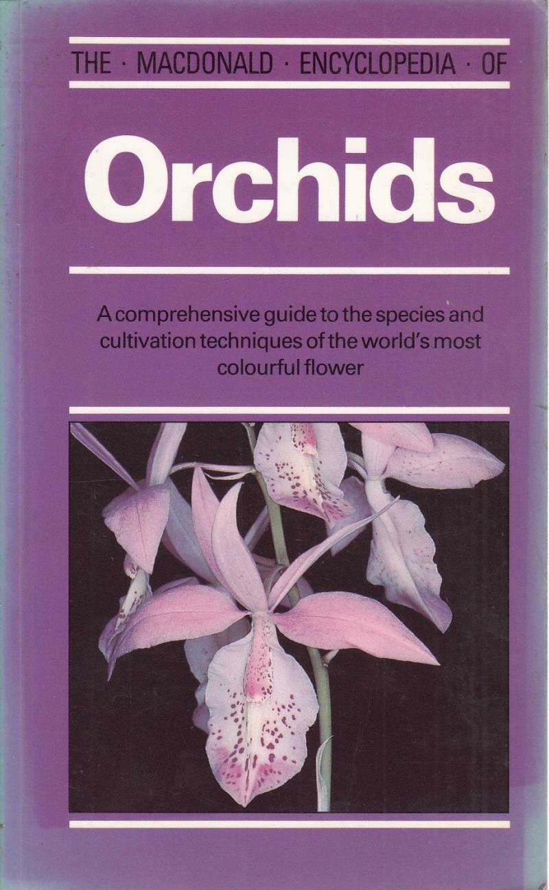 Orchids