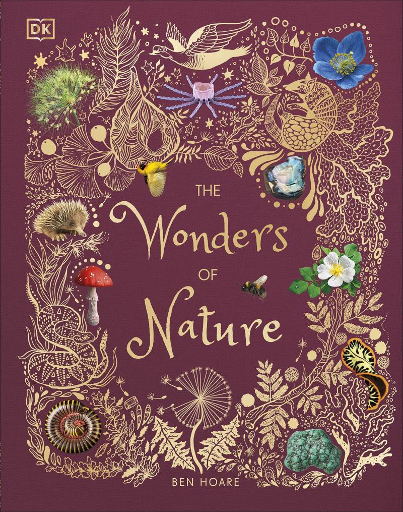 Wonders Of Nature