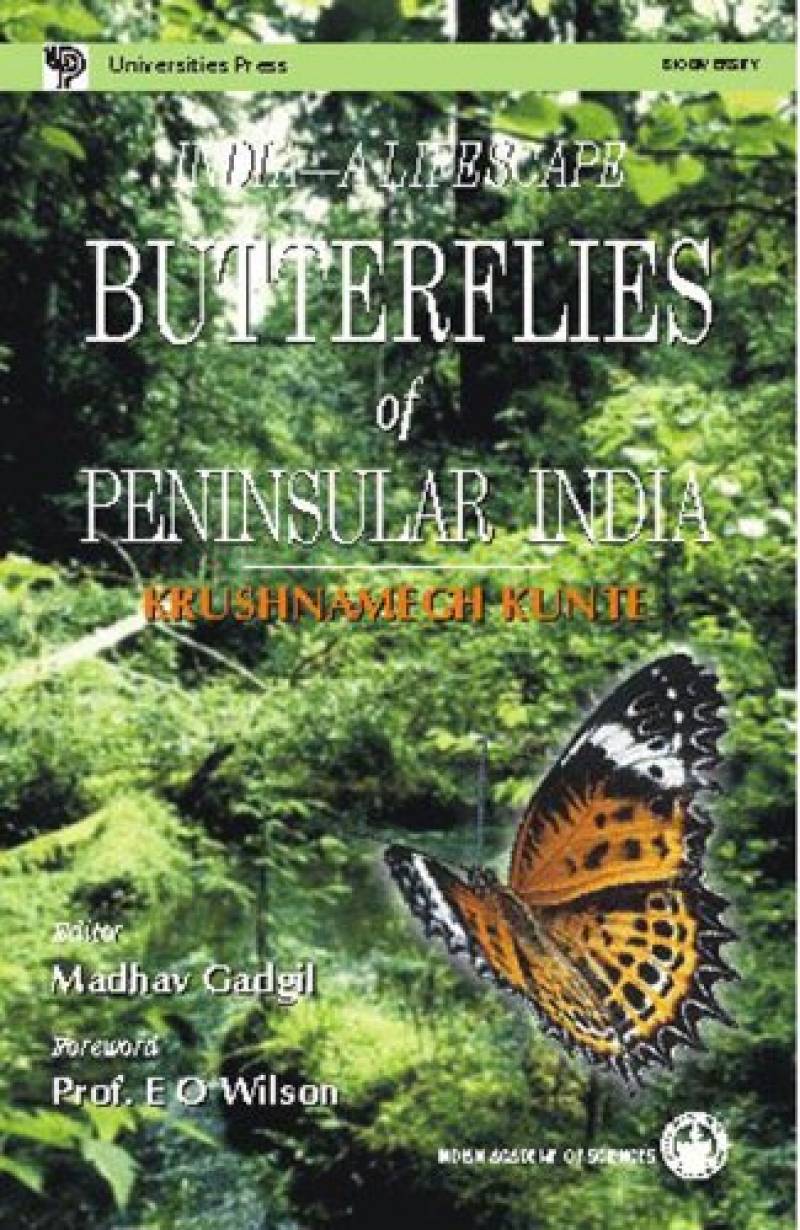 India - A Lifescape - Butterflies Of Penninsular India