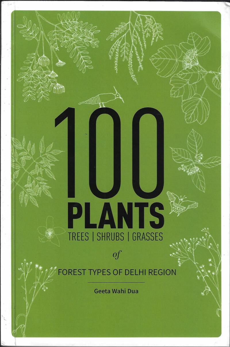 100 Plants
