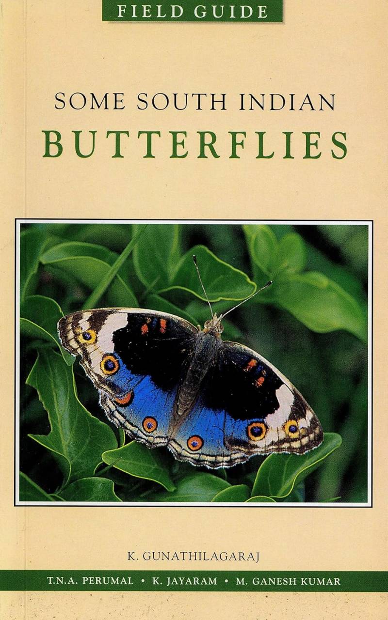 Some South Indian Butterflies
