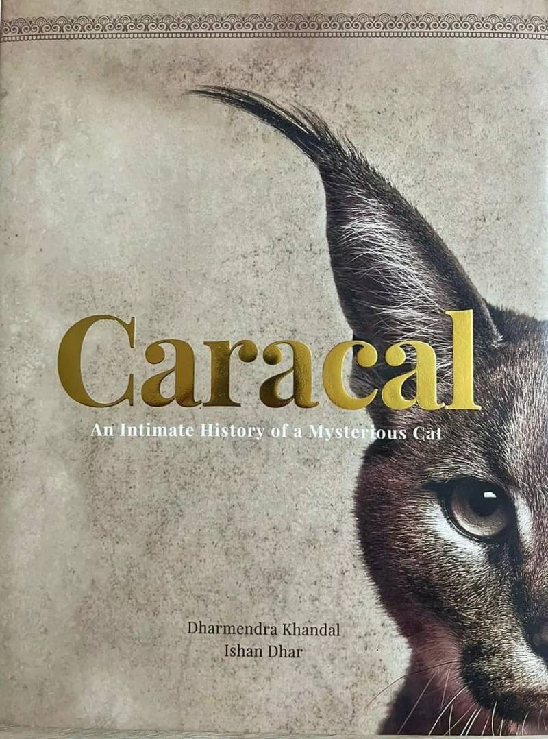 Caracal - An Intimate History of a Mysterious Cat