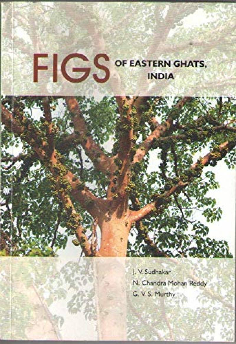 Figs Of Eastern Ghats, India