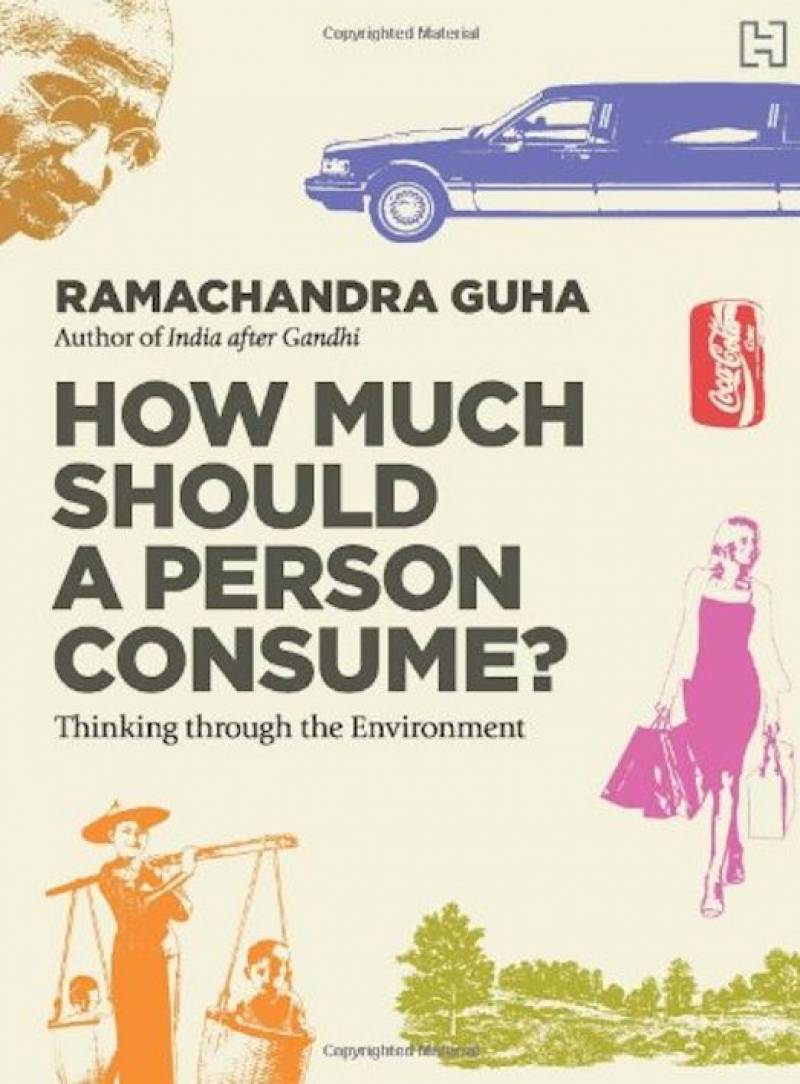 How Much Should A Person Consume? Thinking Through The Environment