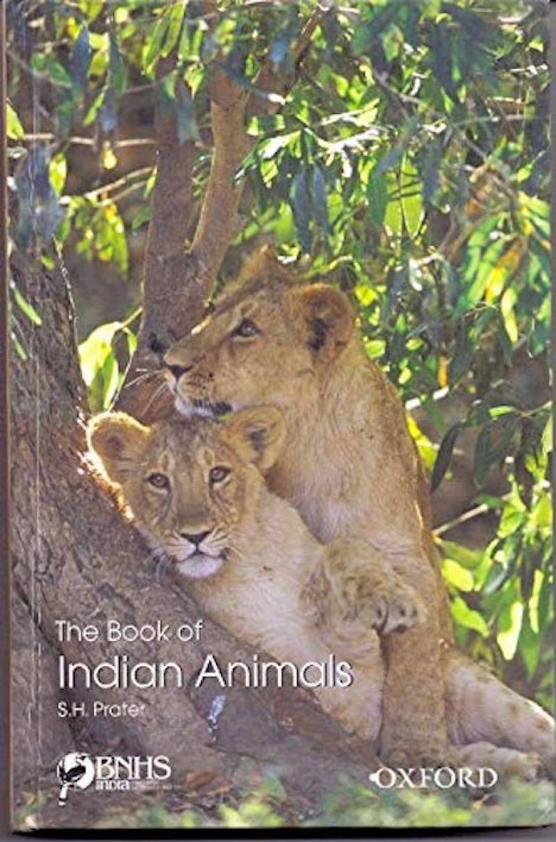 The Book Of Indian Animals