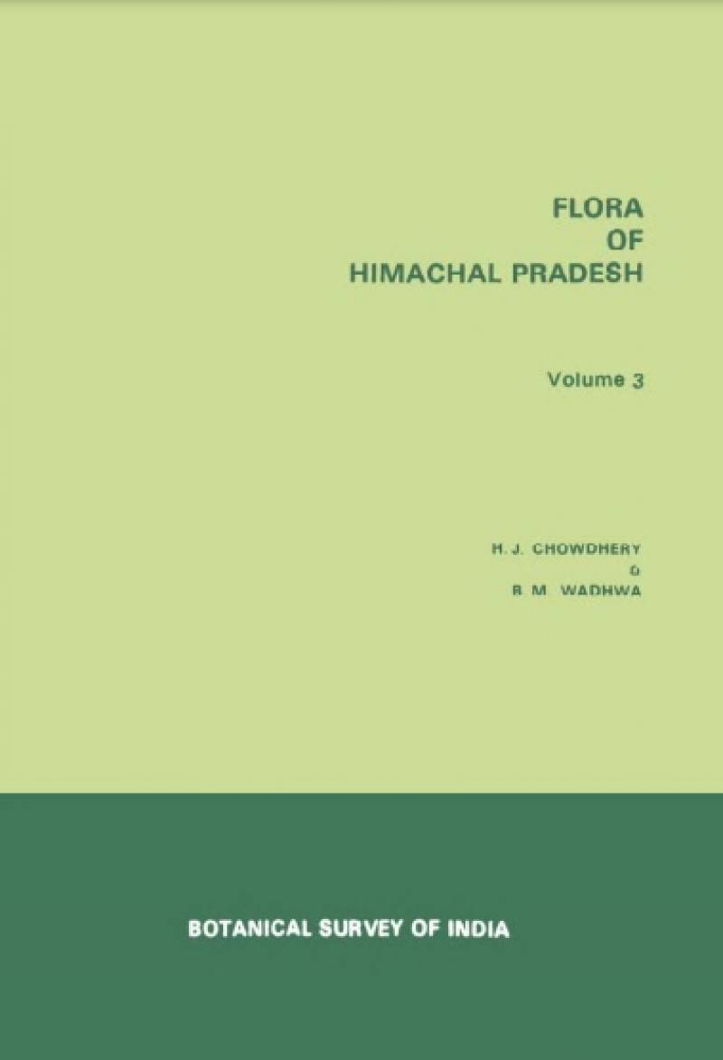 Flora Of Himachal Pradesh Vol. 3 Analysis (flora Of India Series 2)