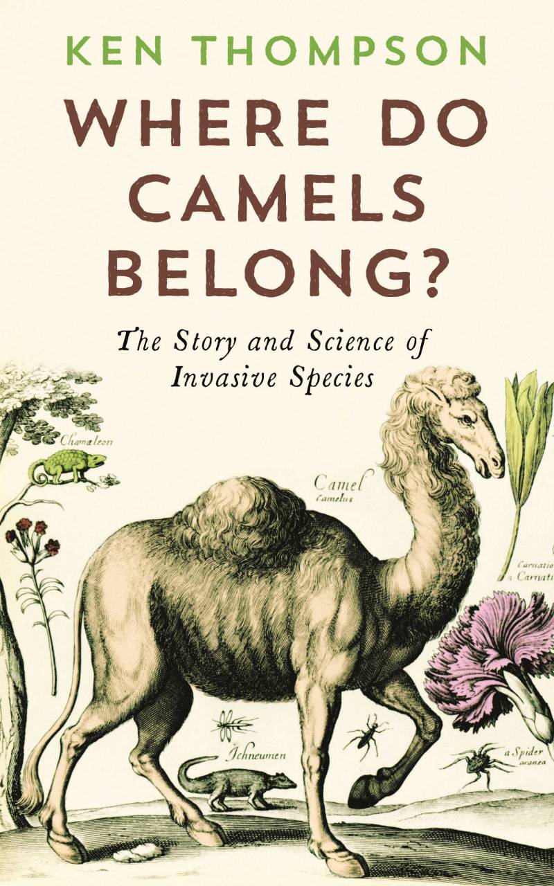 Where Do Camels Belong? The Story And Science Of Invasive Species