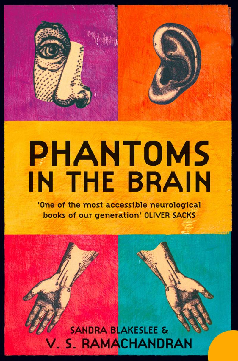 Phantoms In The Brain