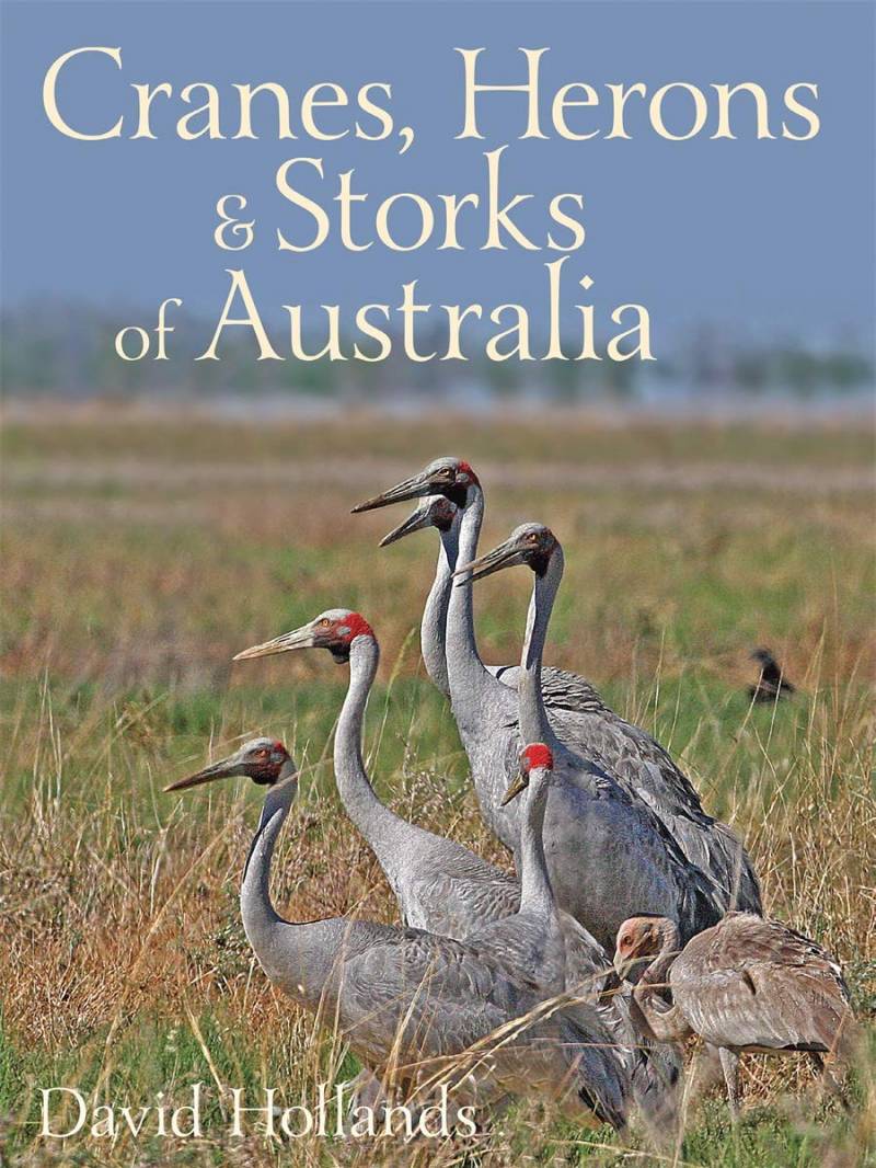Cranes, Herons & Storks Of Australia