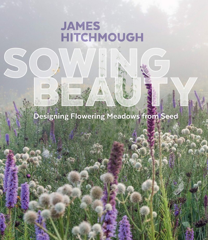 Sowing Beauty - Desiging Flowering Meadows From Seed
