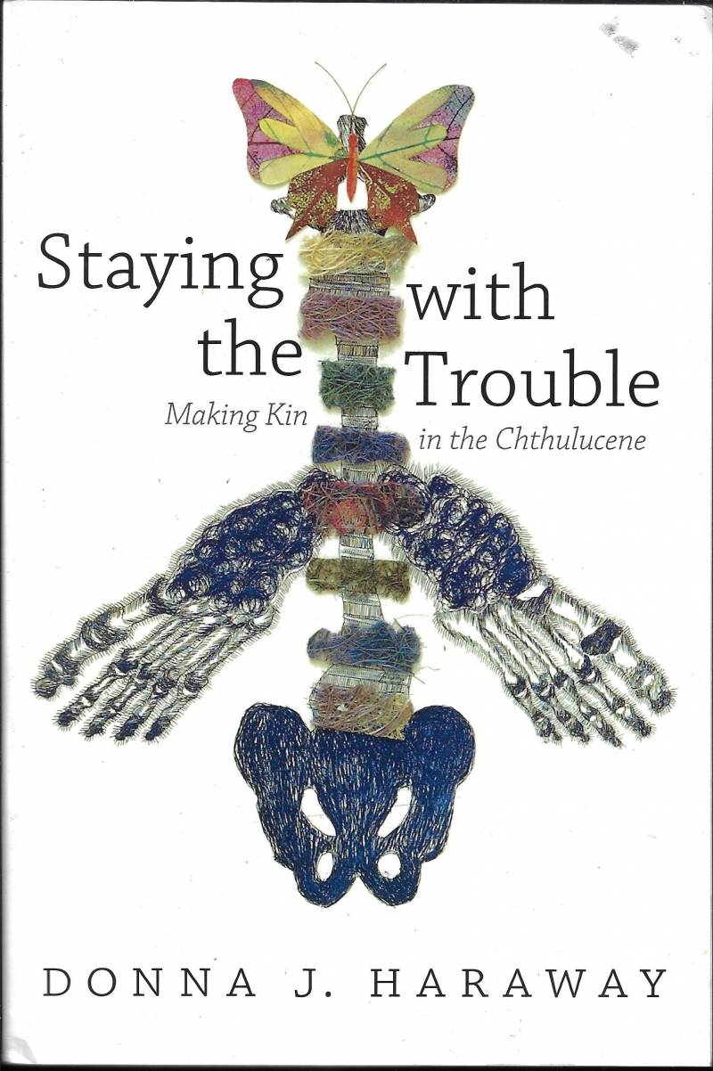 Staying With The Trouble