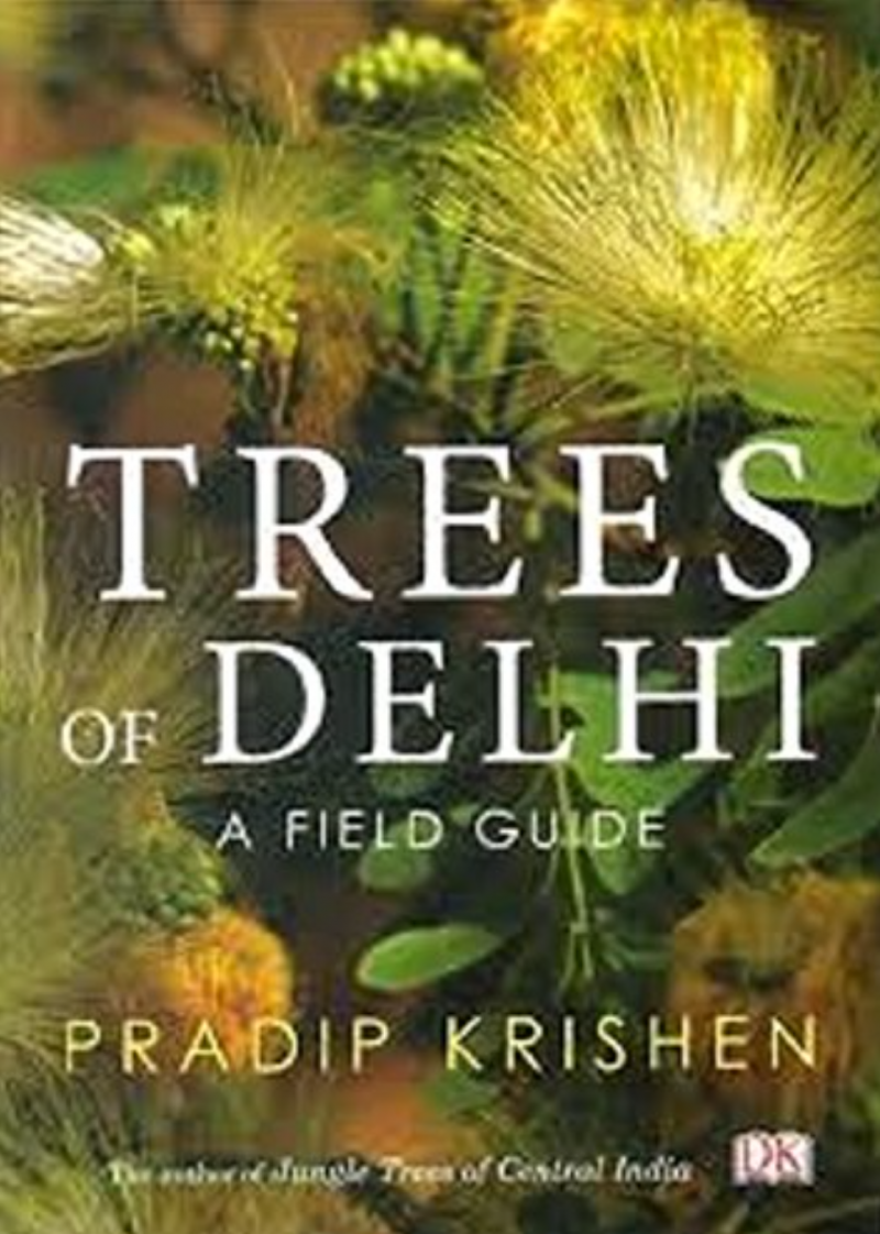 Trees Of Delhi