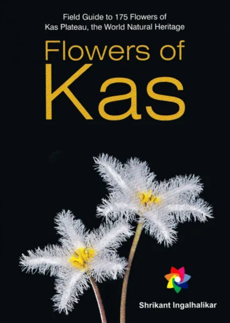 Flowers Of Kas