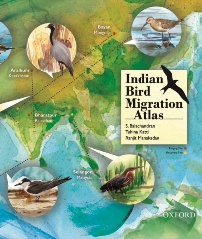 Indian Bird Migration Atlas