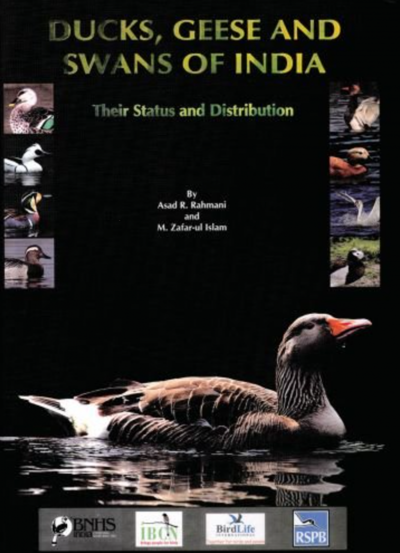 Ducks, Geese, And Swans Of India
