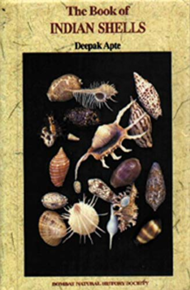 The Book Of Indian Shells