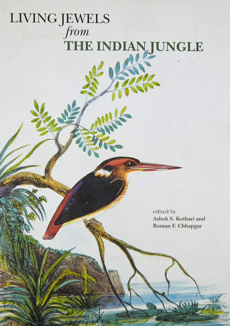 Living Jewels From The Indian Jungles