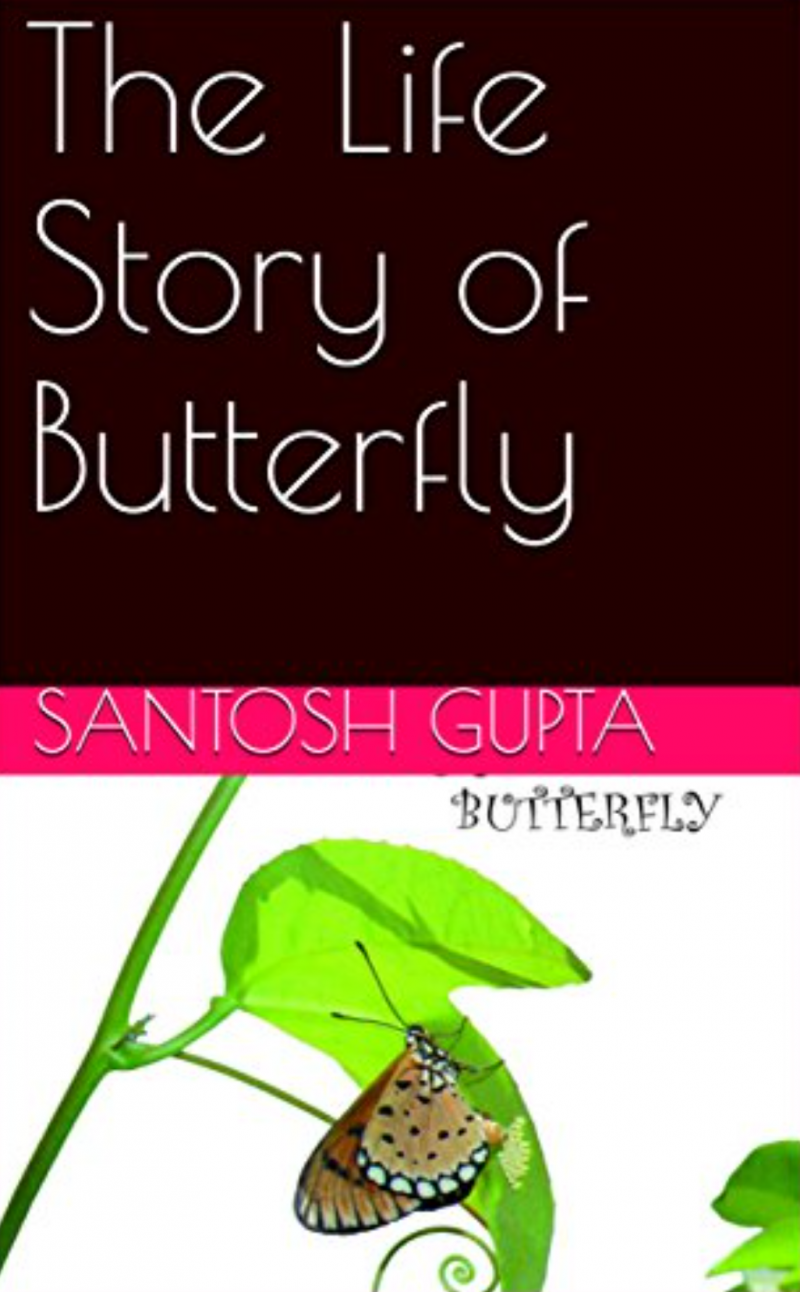 The Life Story Of Butterfly
