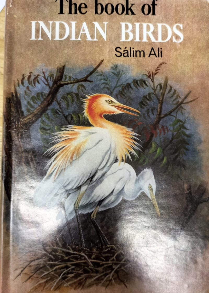 The Book Of Indian Birds
