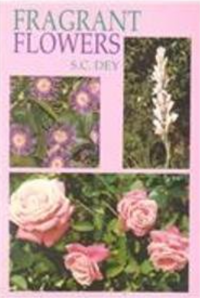 Fragrant Flowers