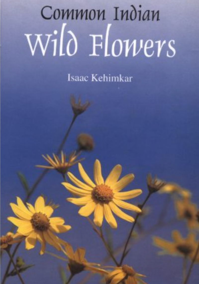 Common Indian Wild Flowers