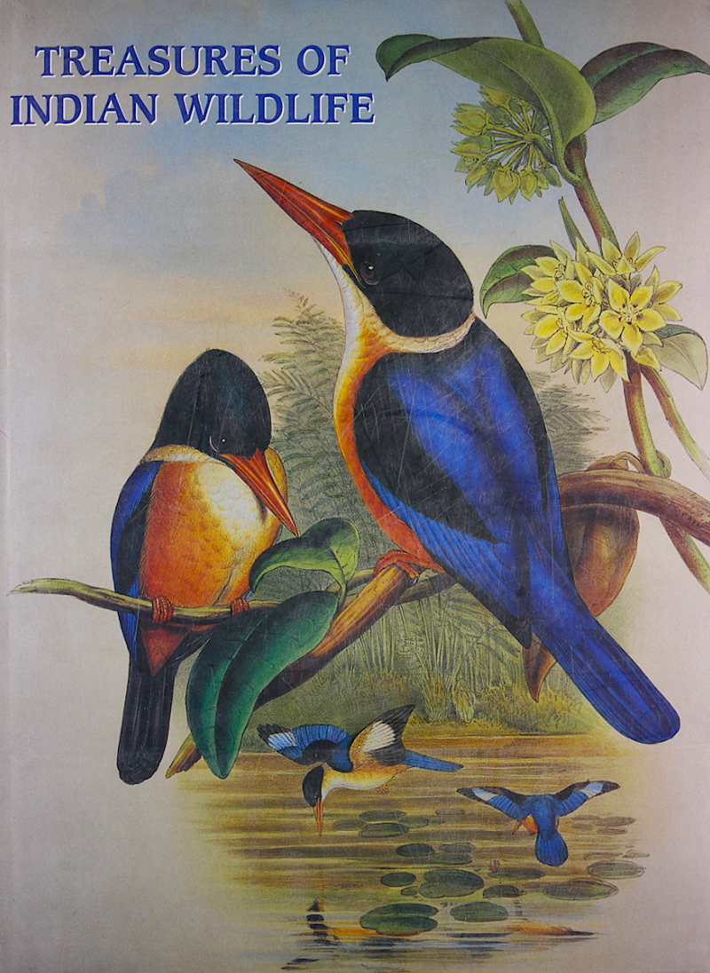 Treasures Of Indian Wildlife