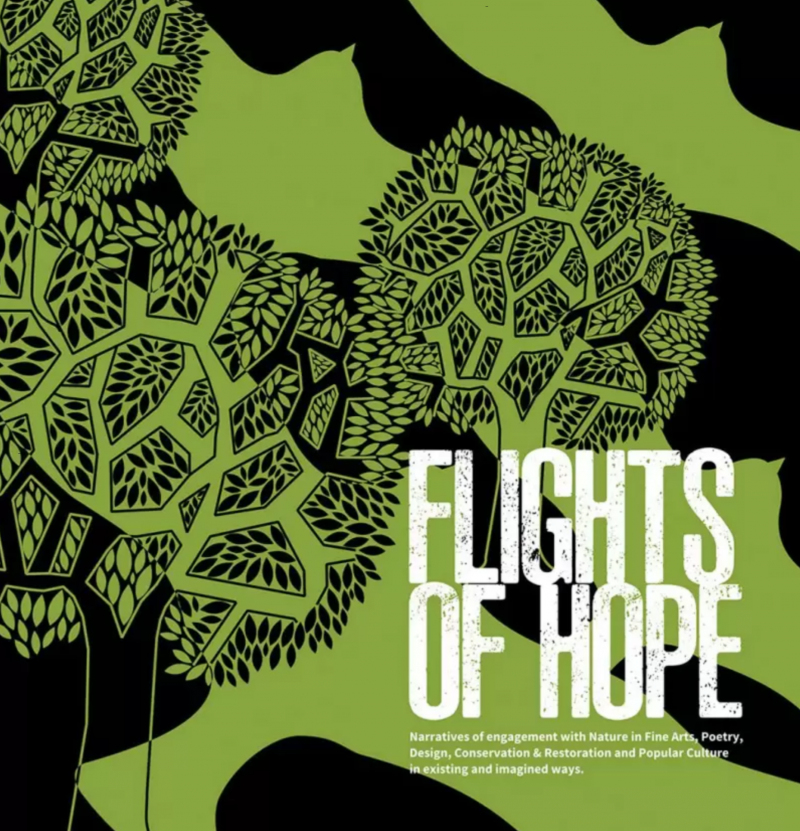Flights Of Hopes