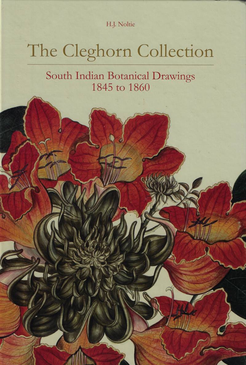 The Cleghorn Collection - South Indian Botanical Drawings